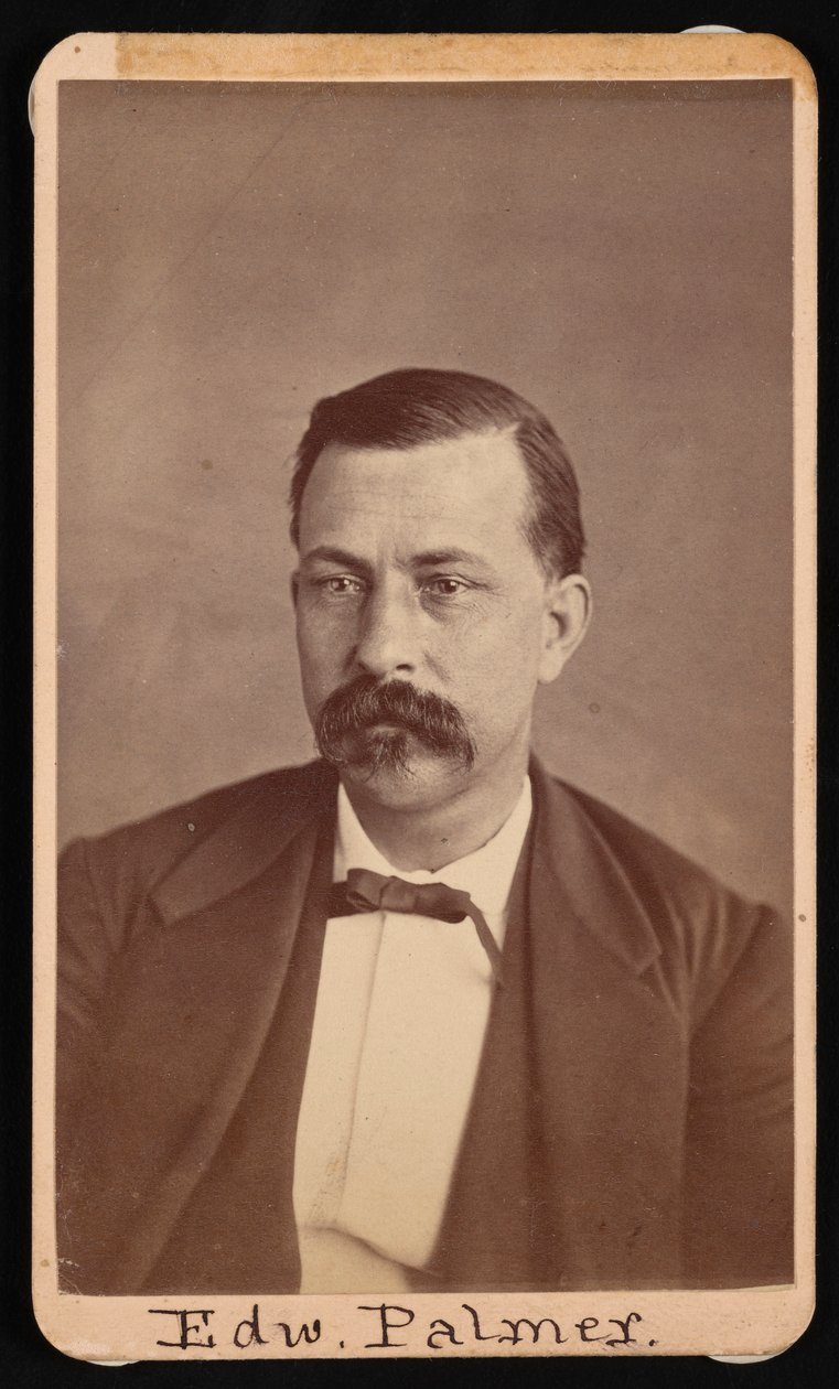 Portrait of Edward Palmer by Thomas William Smillie