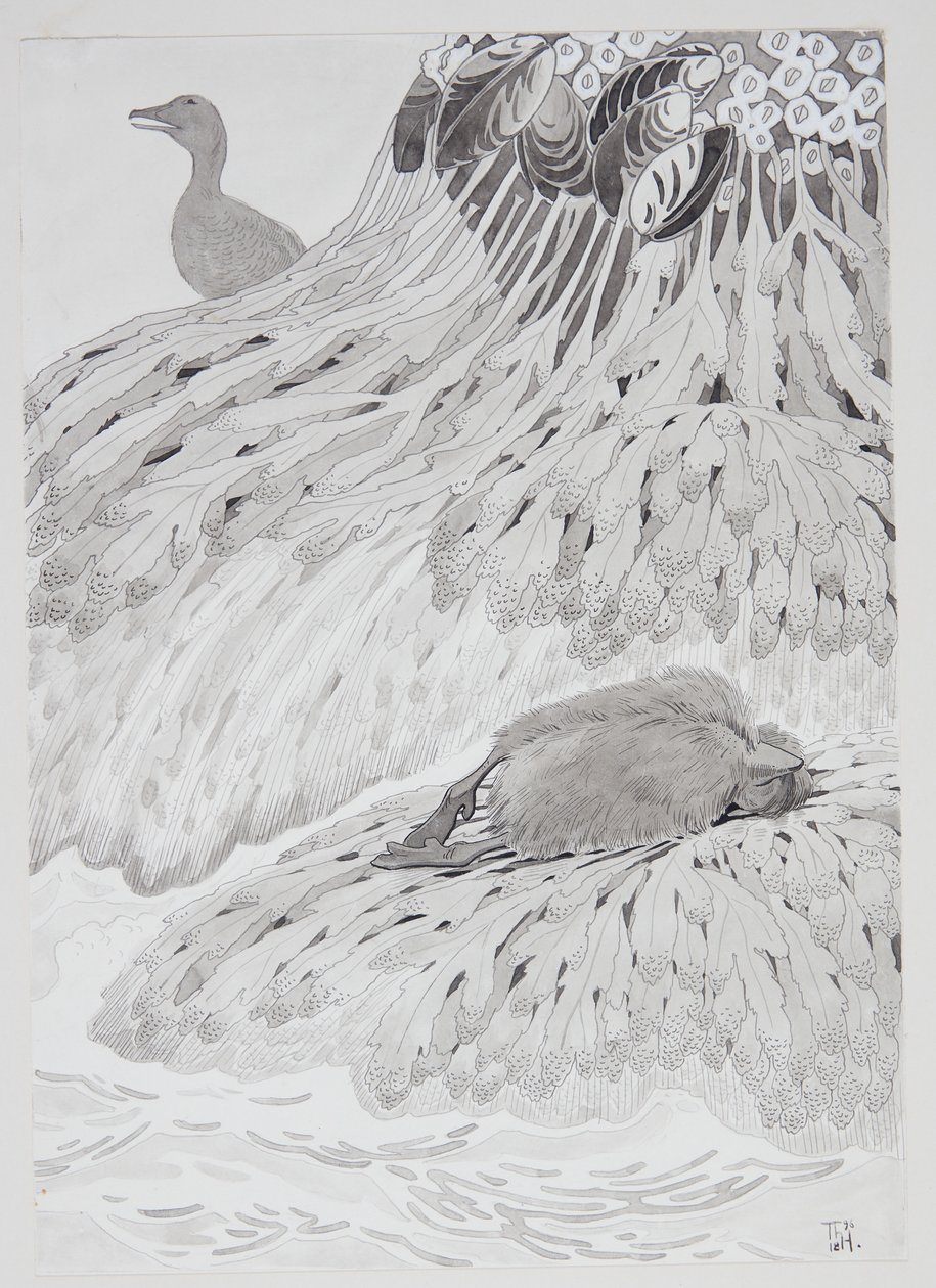 A Eider Duck and a Dead Bird on a Shore by Thorolf Holmboe