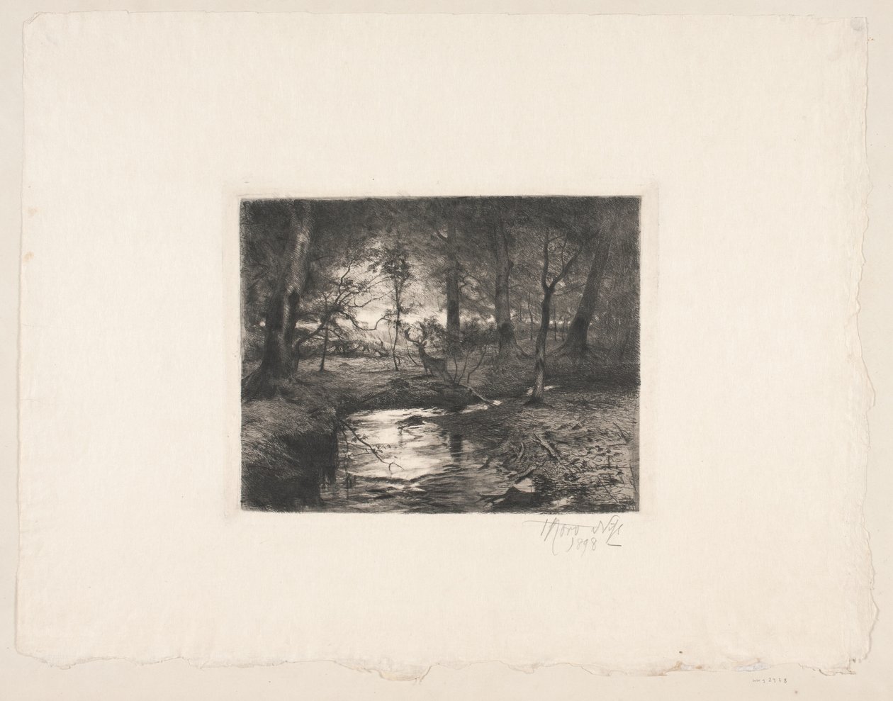 Stream in Borrevejle Forest by Thorvald Niss
