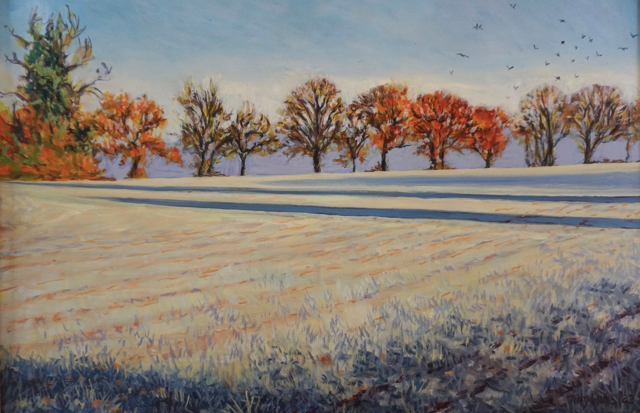 Frost on the Field by Tilly Willis