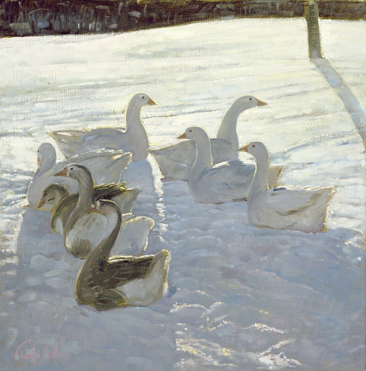 Geese Against the Light by Timothy Easton