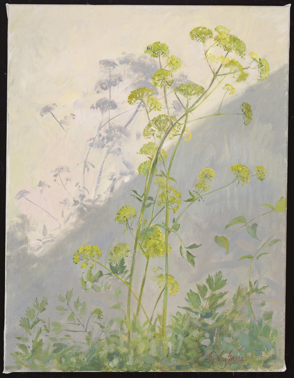 Lovage Against Diagonal Shadows, 1999 by Timothy Easton