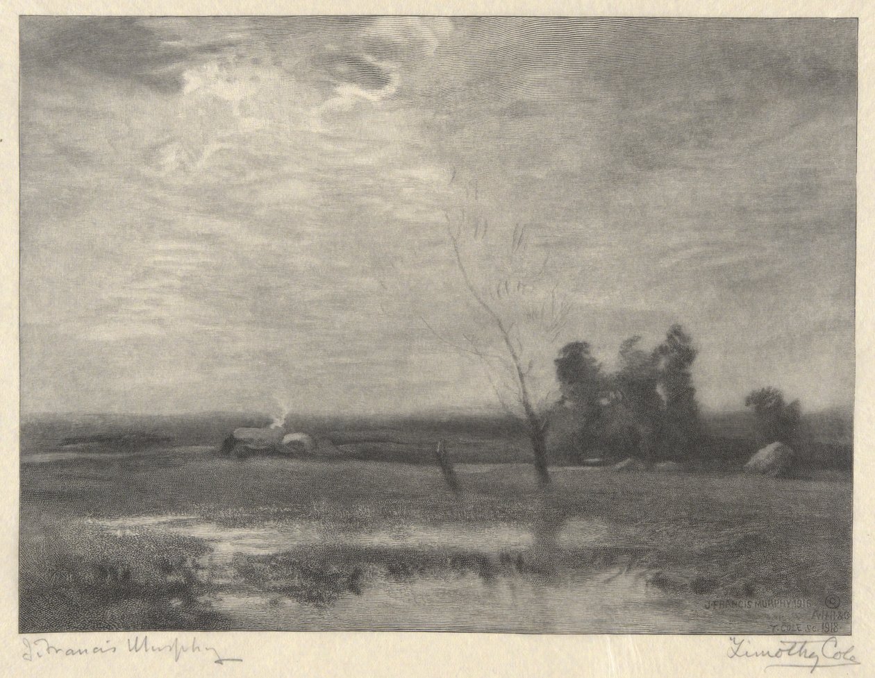 Landscape, Afternoon by Timothy Cole