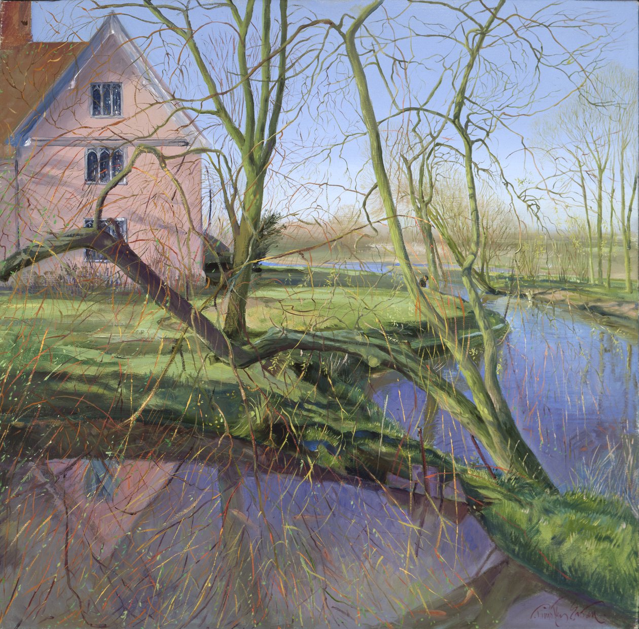 Sprouting Willow Tree by Timothy Easton