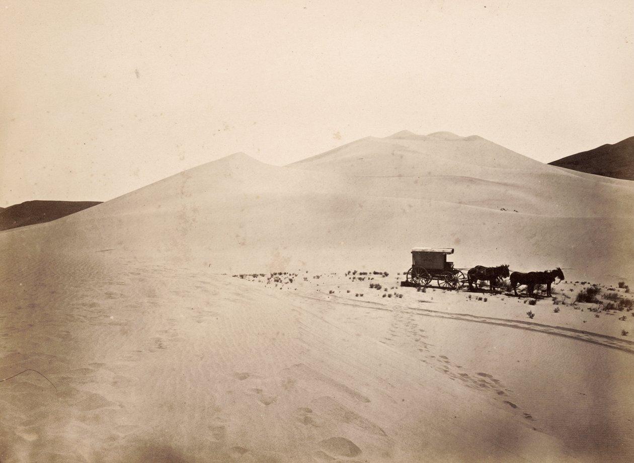Sand Dunes, Carson Desert, Nevada by Timothy H. O