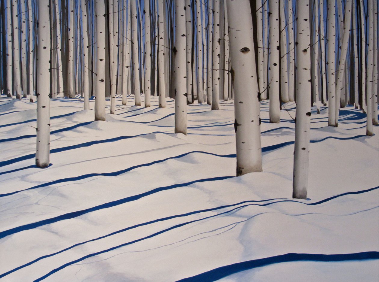 Snow Covered Woods by Tina Palmer