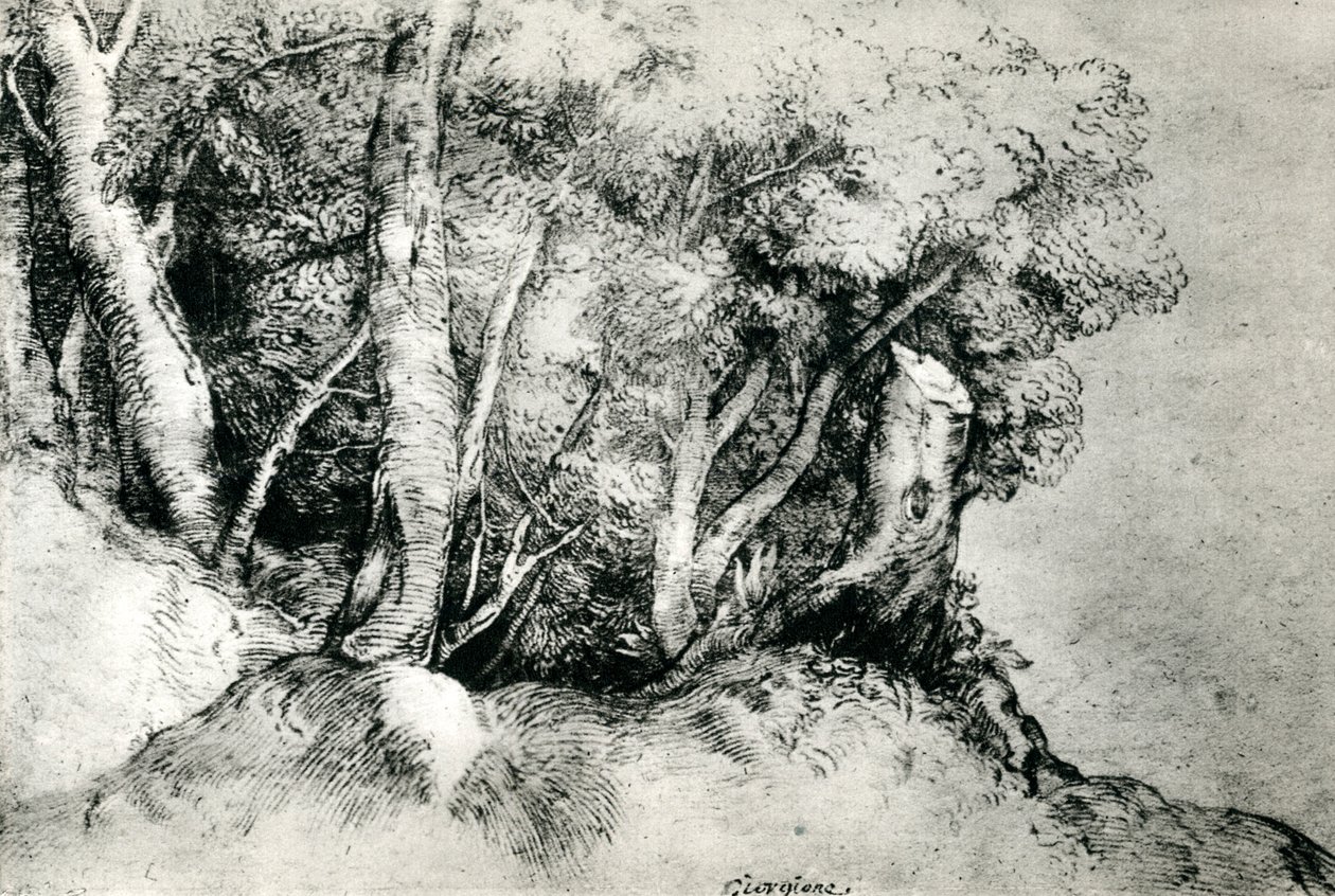 Forest Landscape by Tiziano Vecelli