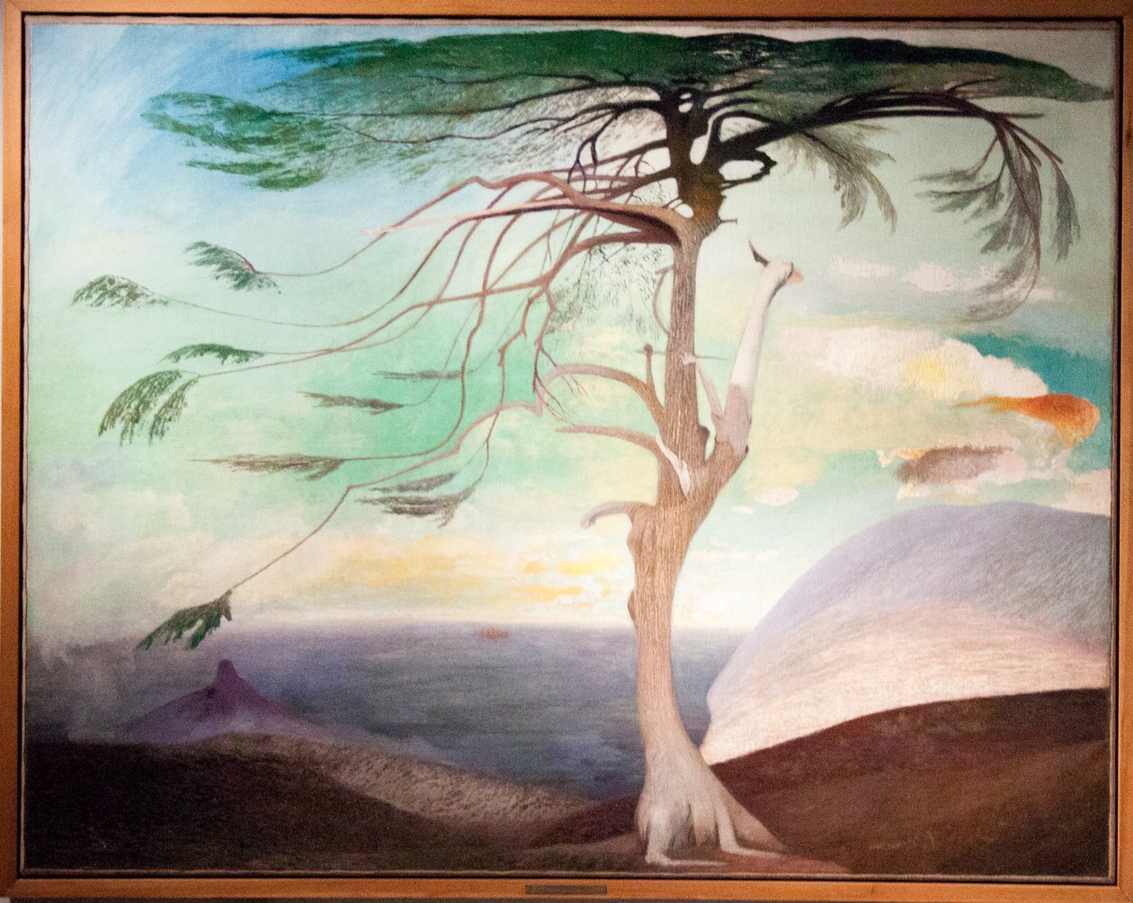 The Lonely Cedar by Tivadar Csontváry Kosztka