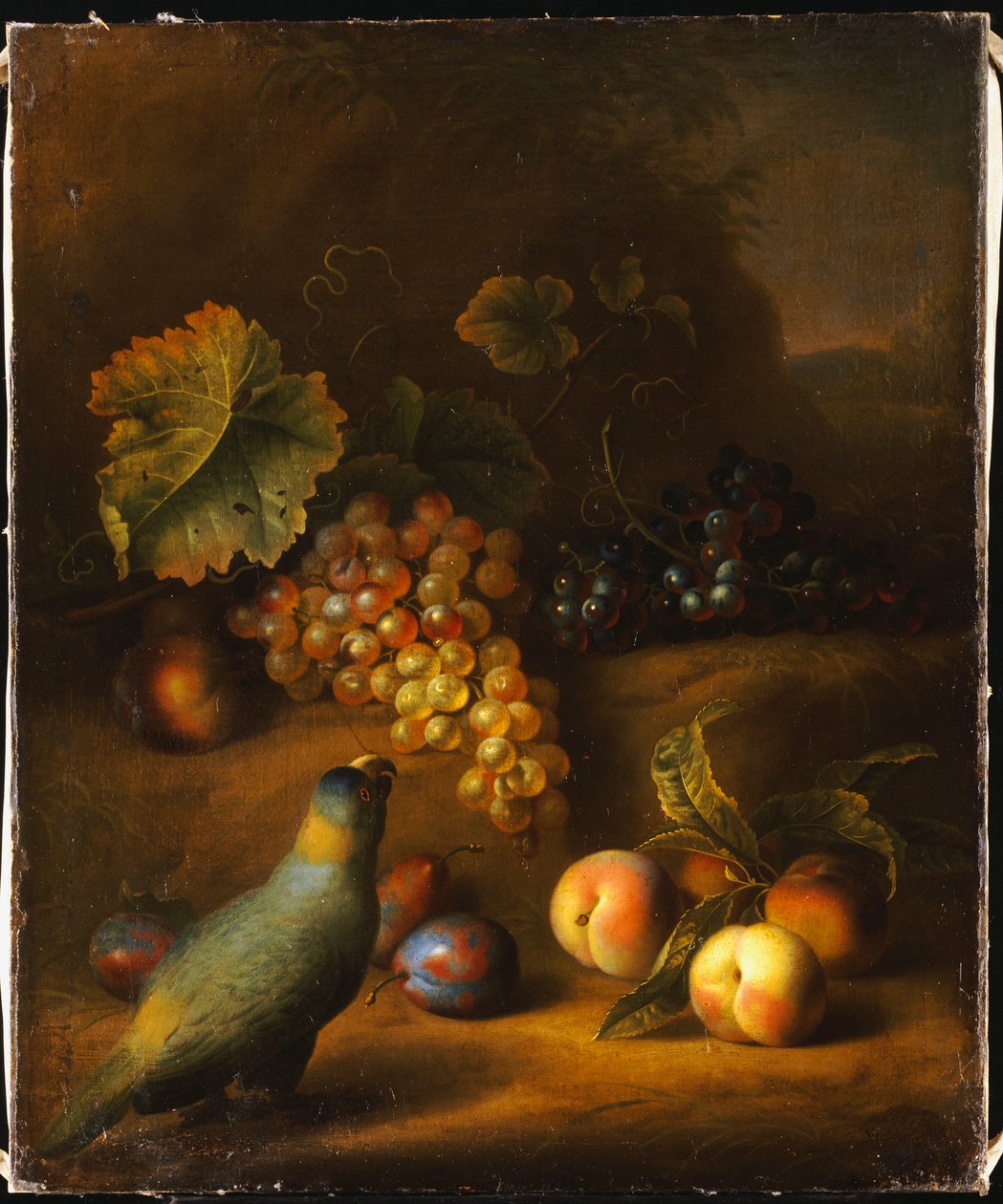 A Parrot with Grapes, Peaches and Plums in a Landscape by Tobias Stranover