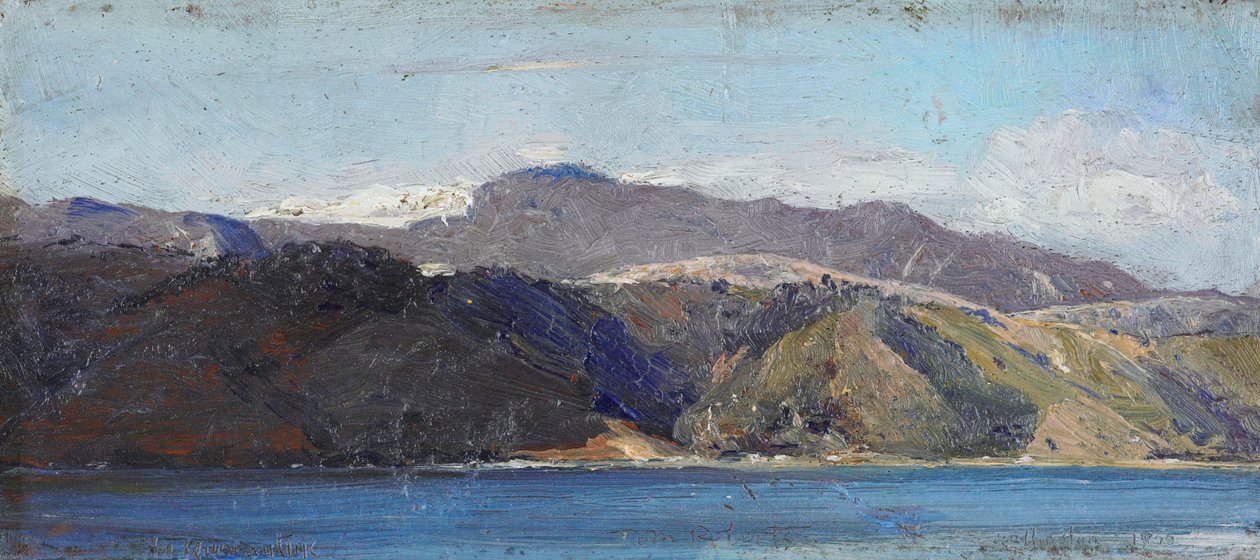In Quarantine, Wellington by Tom Roberts