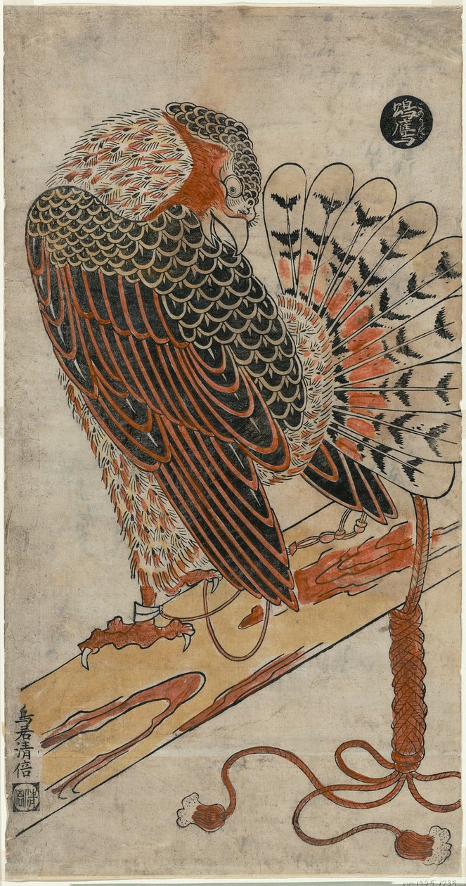 Sparrowhawk by Torii Kiyomasu I