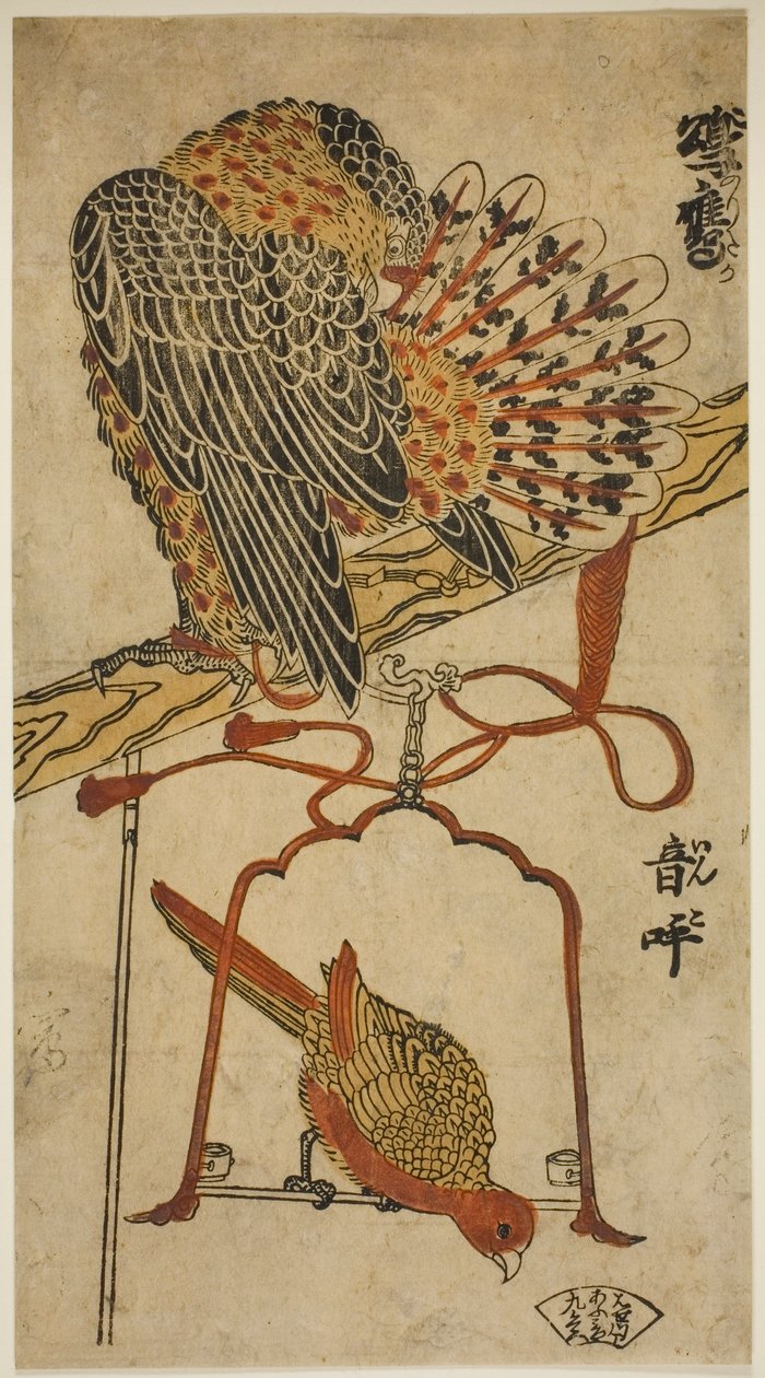 Sparrowhawk and Macaw by Torii Kiyomasu I