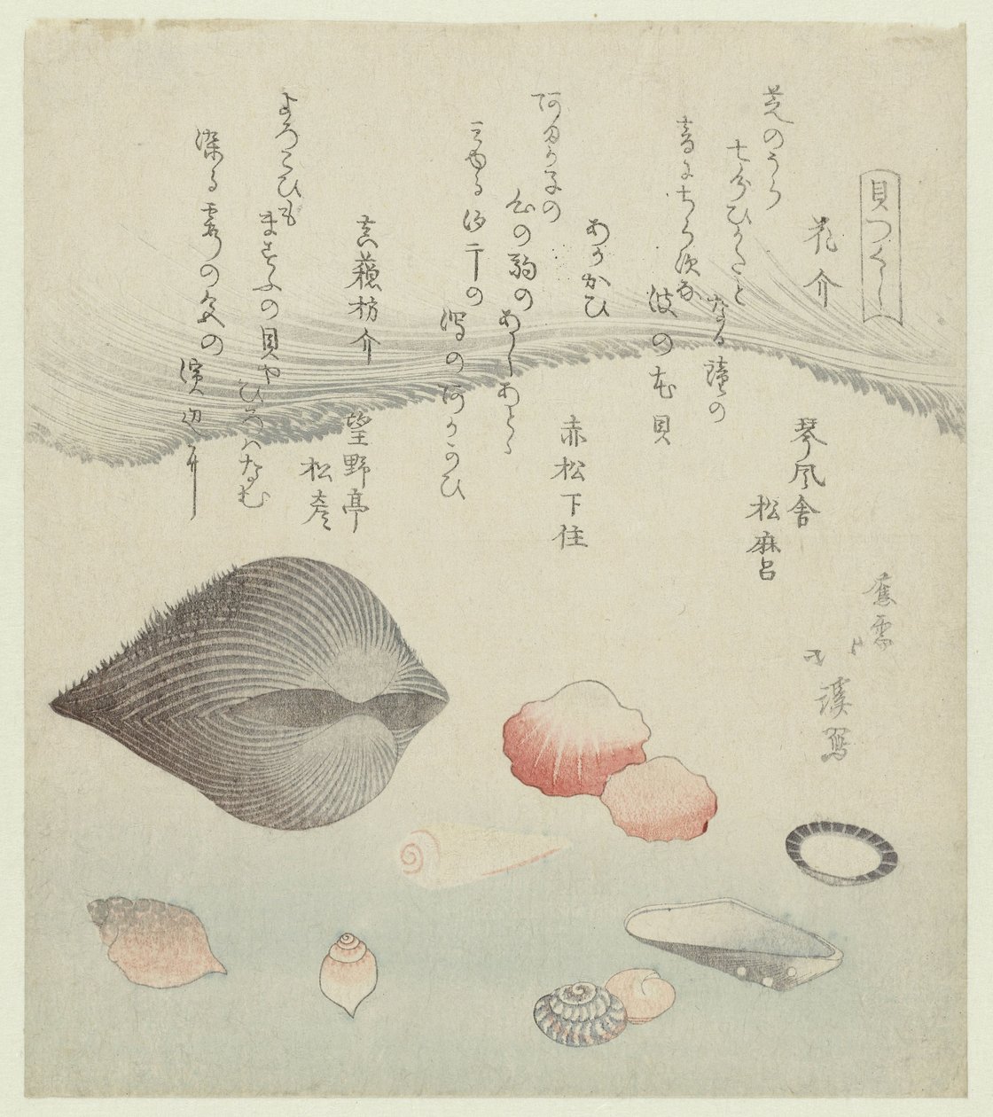 Flower Shell, Red Shell, and Pure Red Shell (A Series of Shells) by Totoya Hokkei