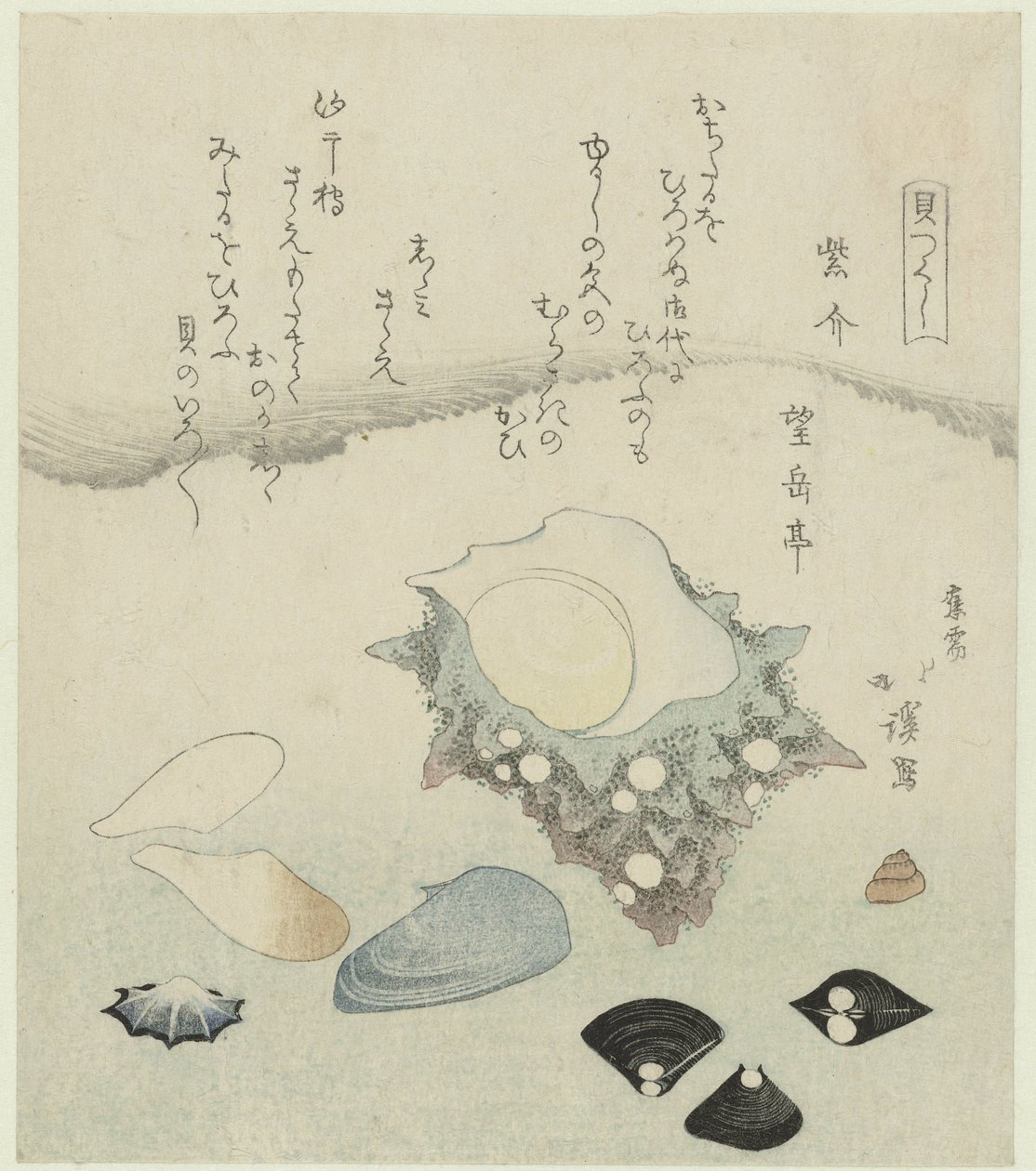 Purple Shell, Freshwater Venus Clams, and a Turban Shell by Totoya Hokkei