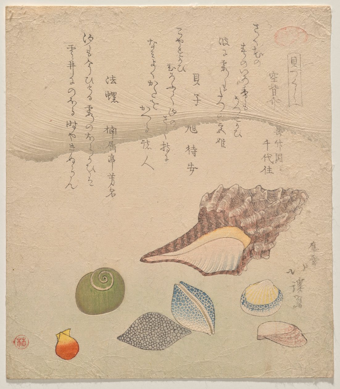 Seven Shells at the Edge of the Sea, from the series Shells Compendium (Kaizukushi) by Totoya Hokkei