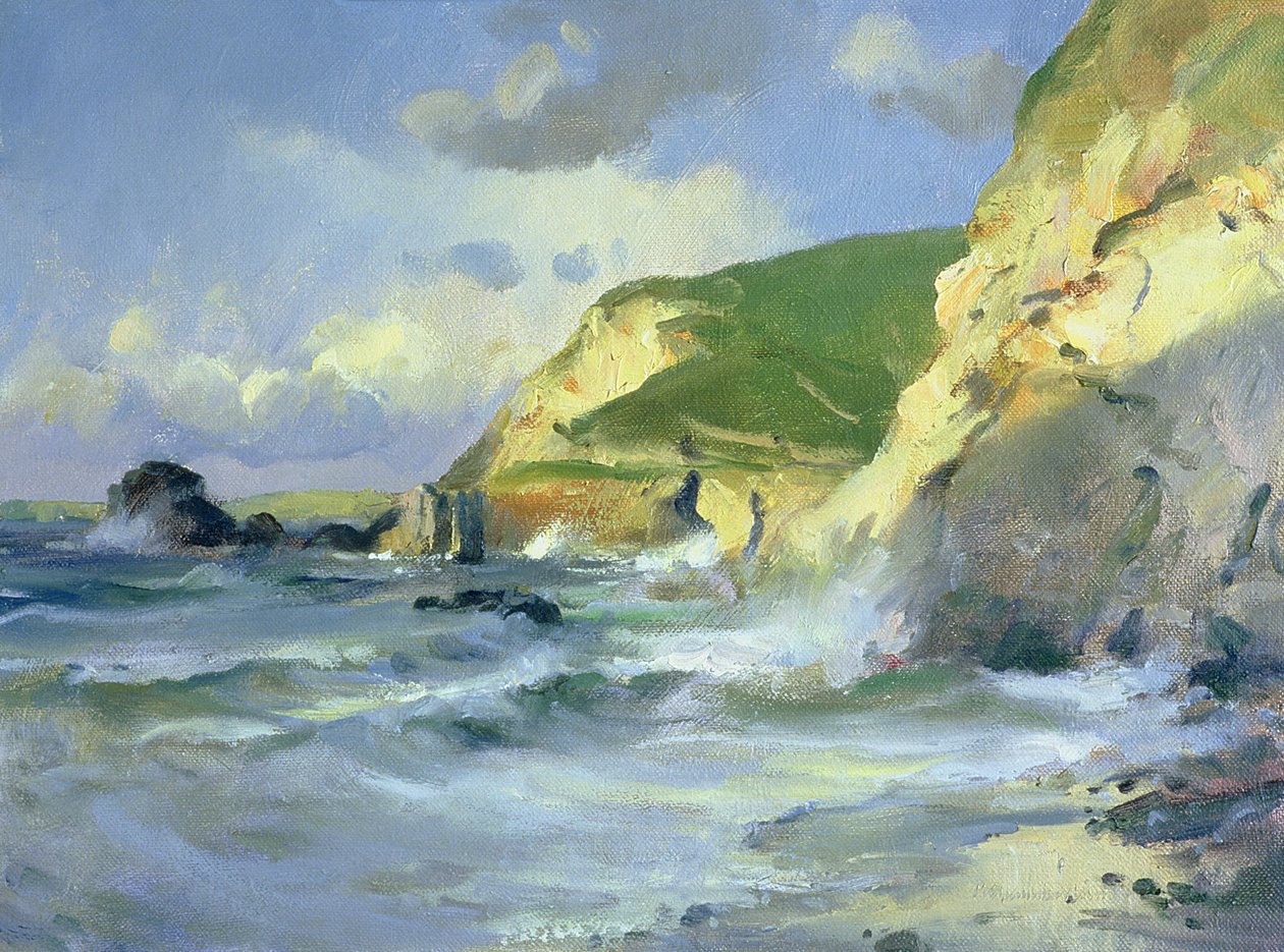 Cliffs at St. Agnes by Trevor Chamberlain
