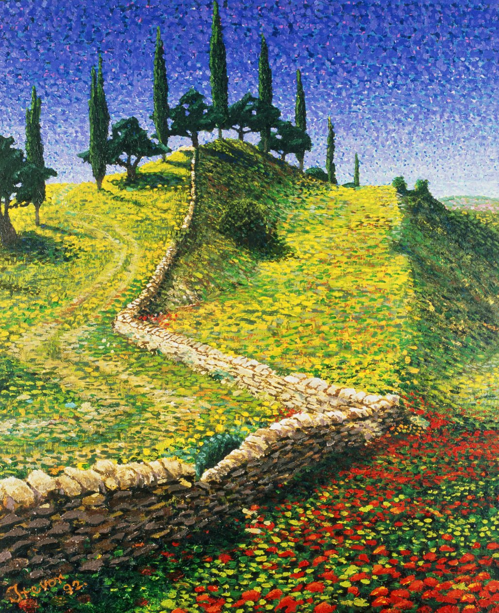 Spanish Hill Top by Trevor Neal