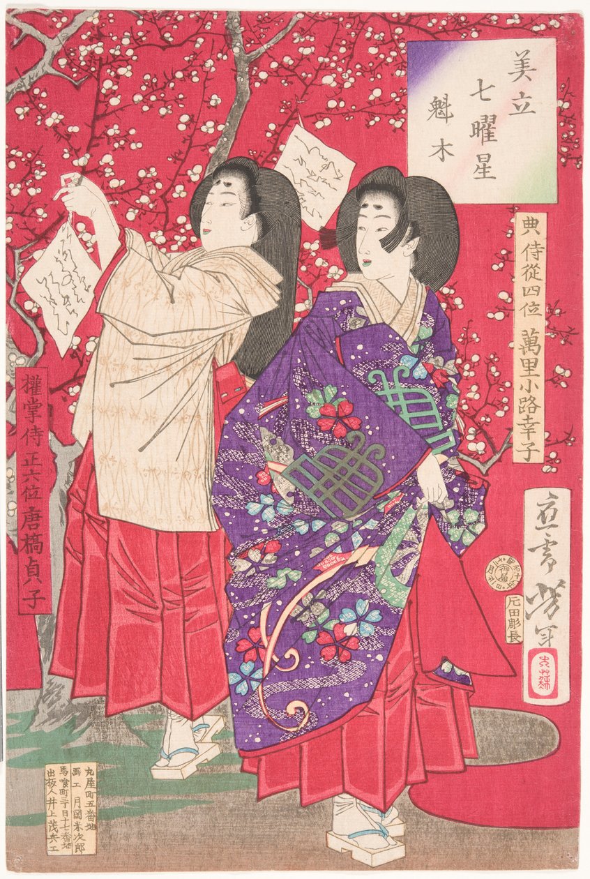 Wood for the Plum Tree by Tsukioka Yoshitoshi