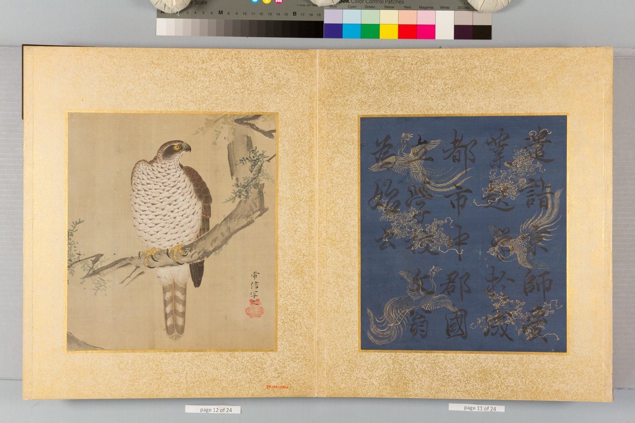 Album of Hawks and Calligraphy by Tsunenobu Kano