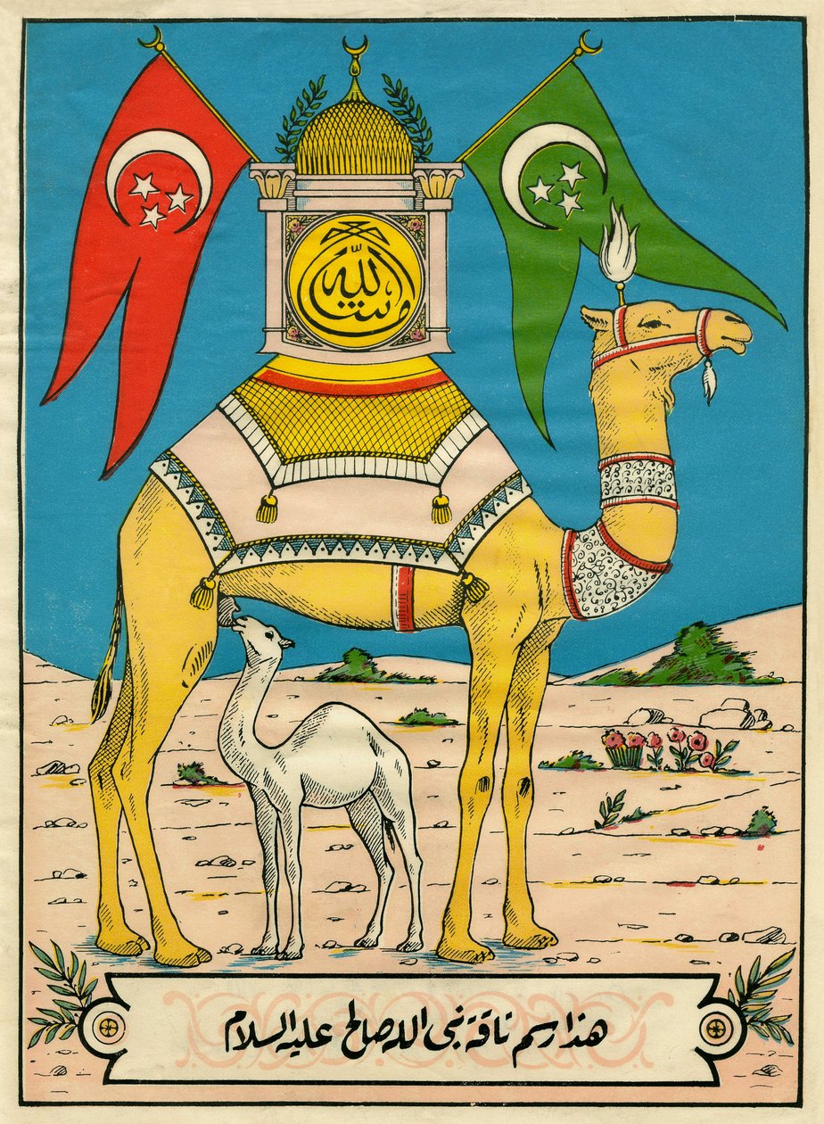 The Camel of Saleh, Sura 7, verse 71: (...) this camel of God is for you a sign (...). Popular imagery, Tunisia by Tunisian School