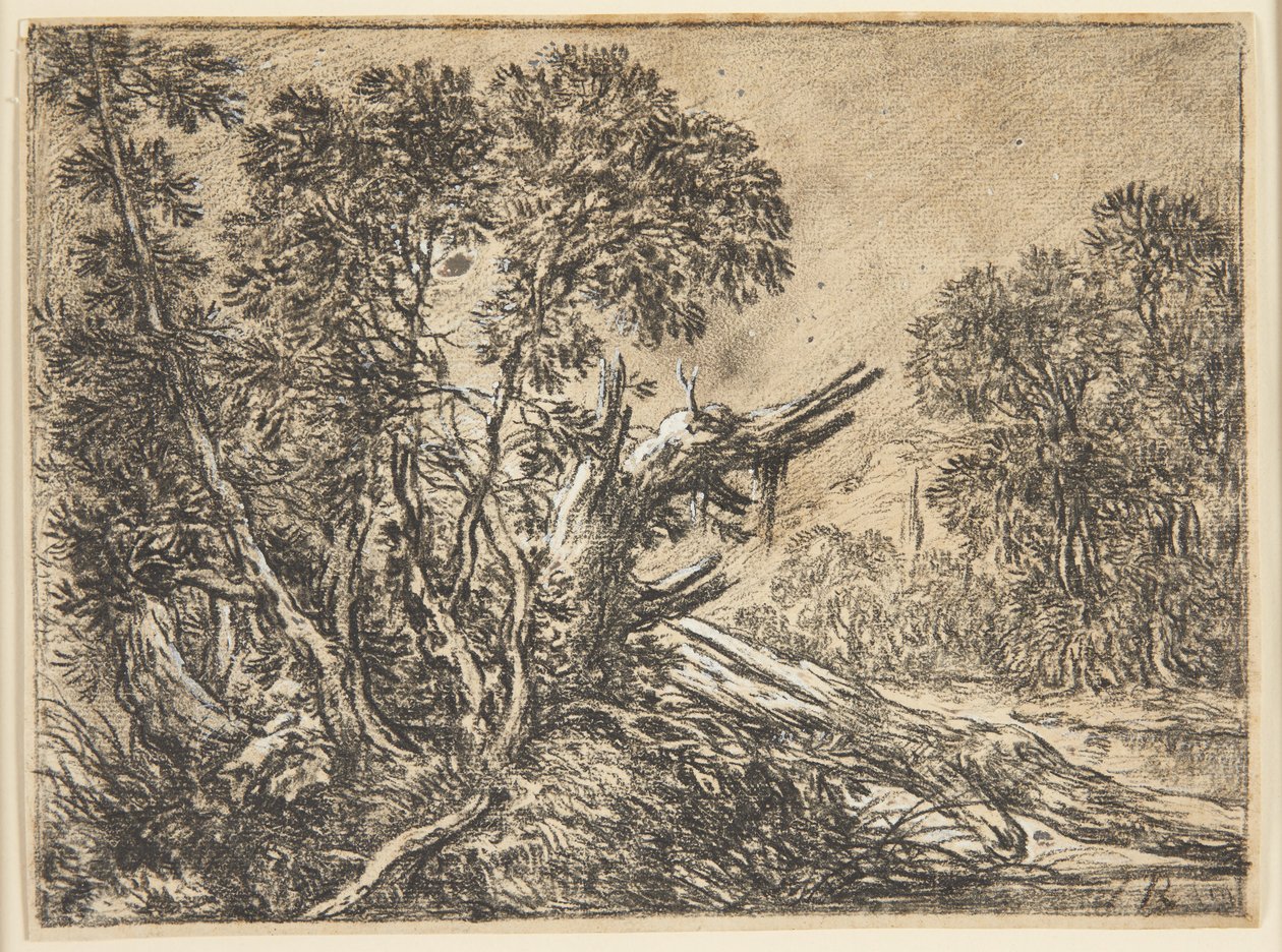 Forest Landscape with a Broken Tree by Ubekendt