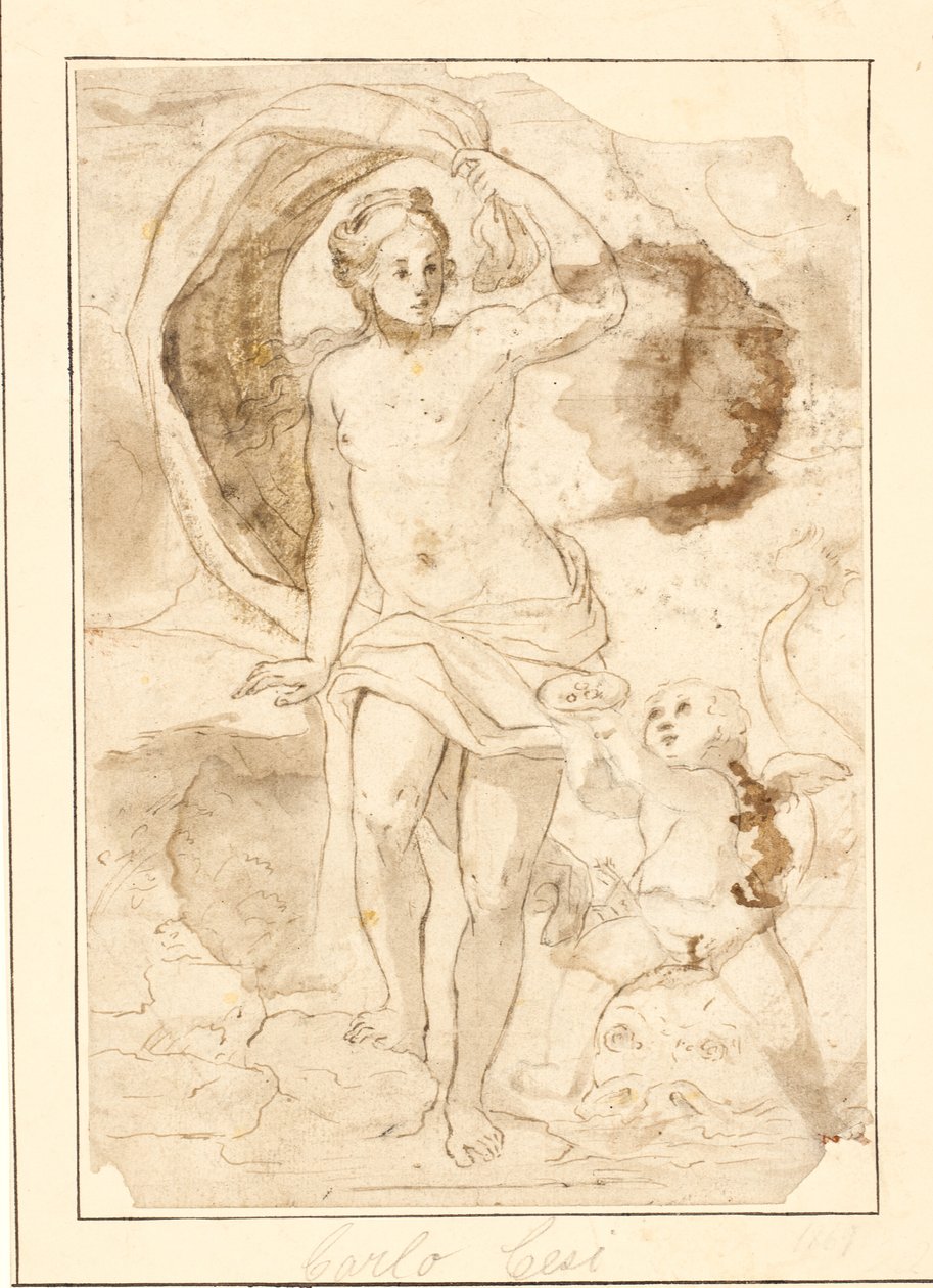 Venus Being Offered Pearls in a Seashell by Cupid Riding on a Dolphin by Ubekendt