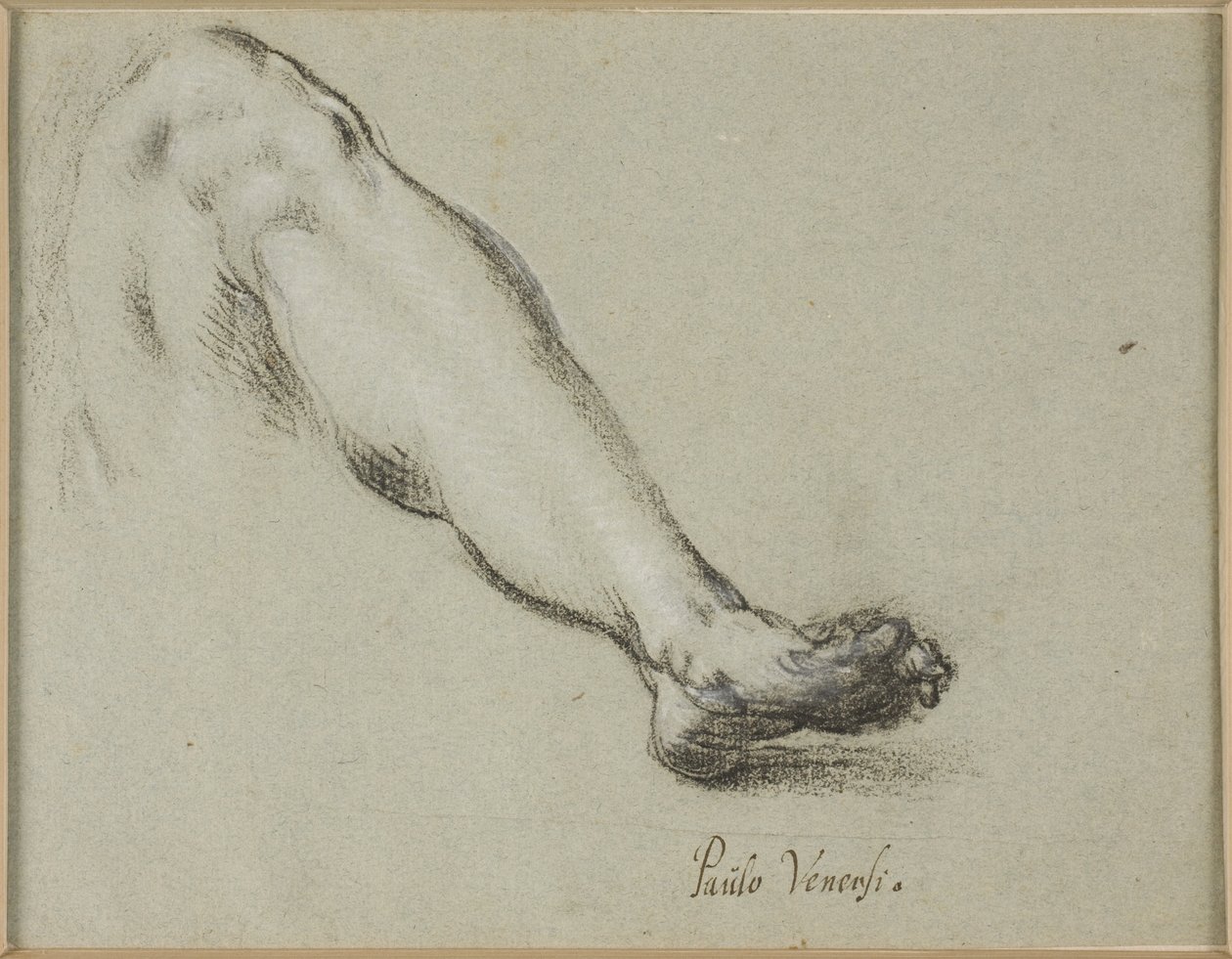Study for Lower Part of a Left Leg by Ubekendt Ubekendt