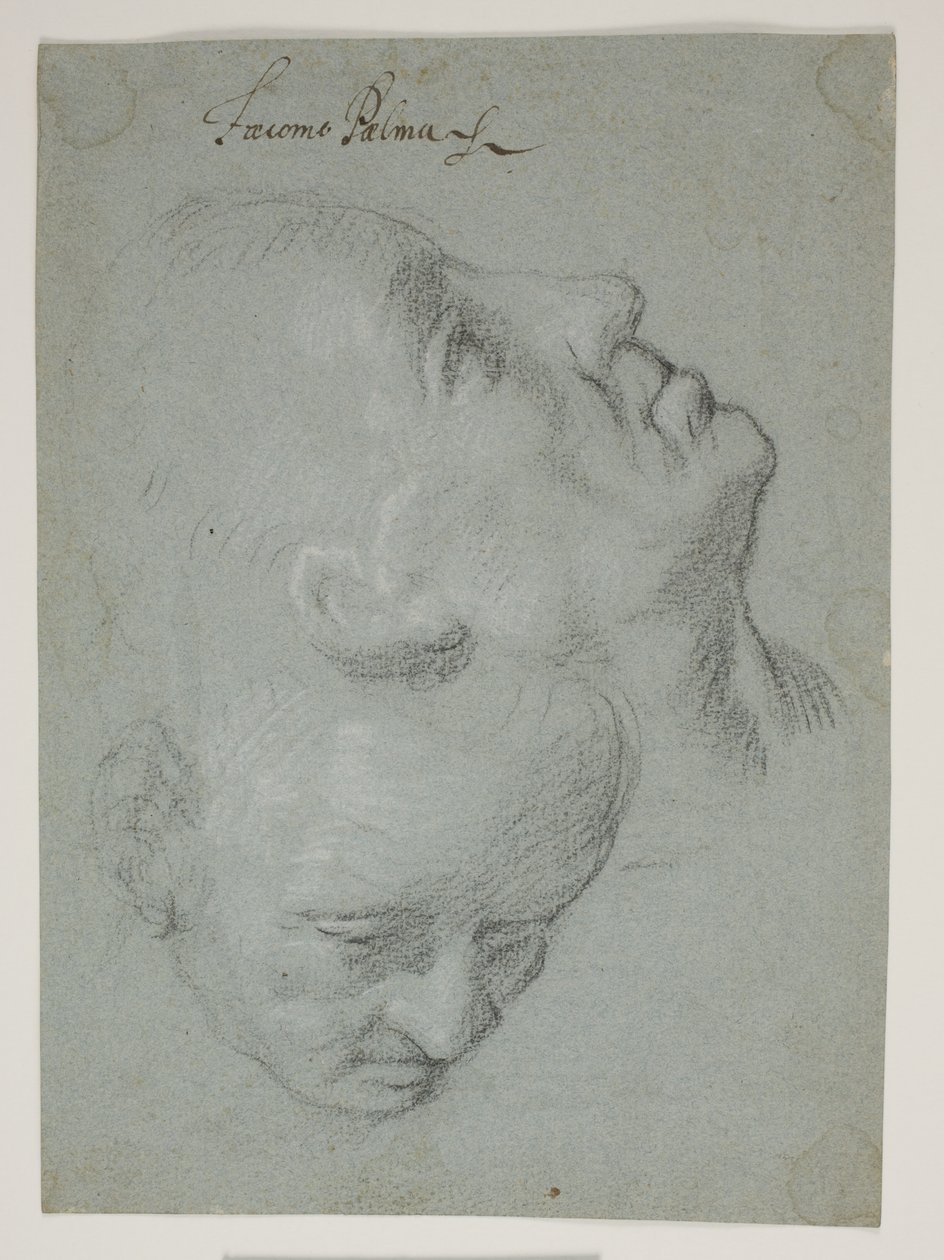 Two Studies of Male Faces by Ubekendt Ubekendt