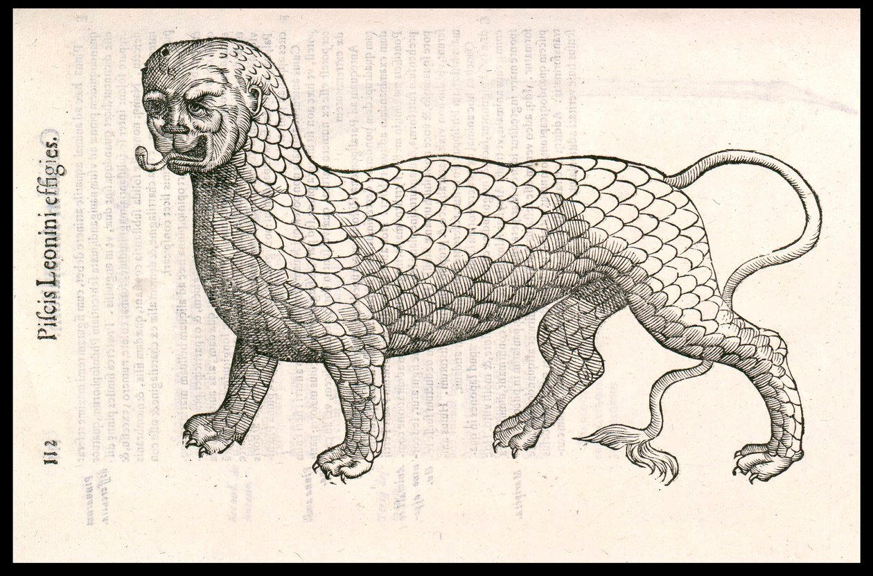Monster Creature: a lion covered with fish scales. Engraving by Ulisse Aldrovandi, 
