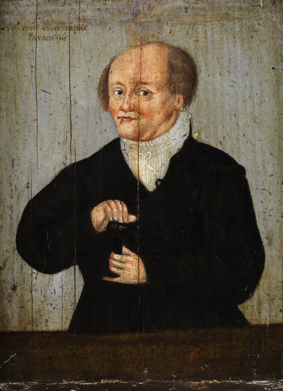 Philippus Theophrastus Paracelsus by Unbekannt Unbekannt