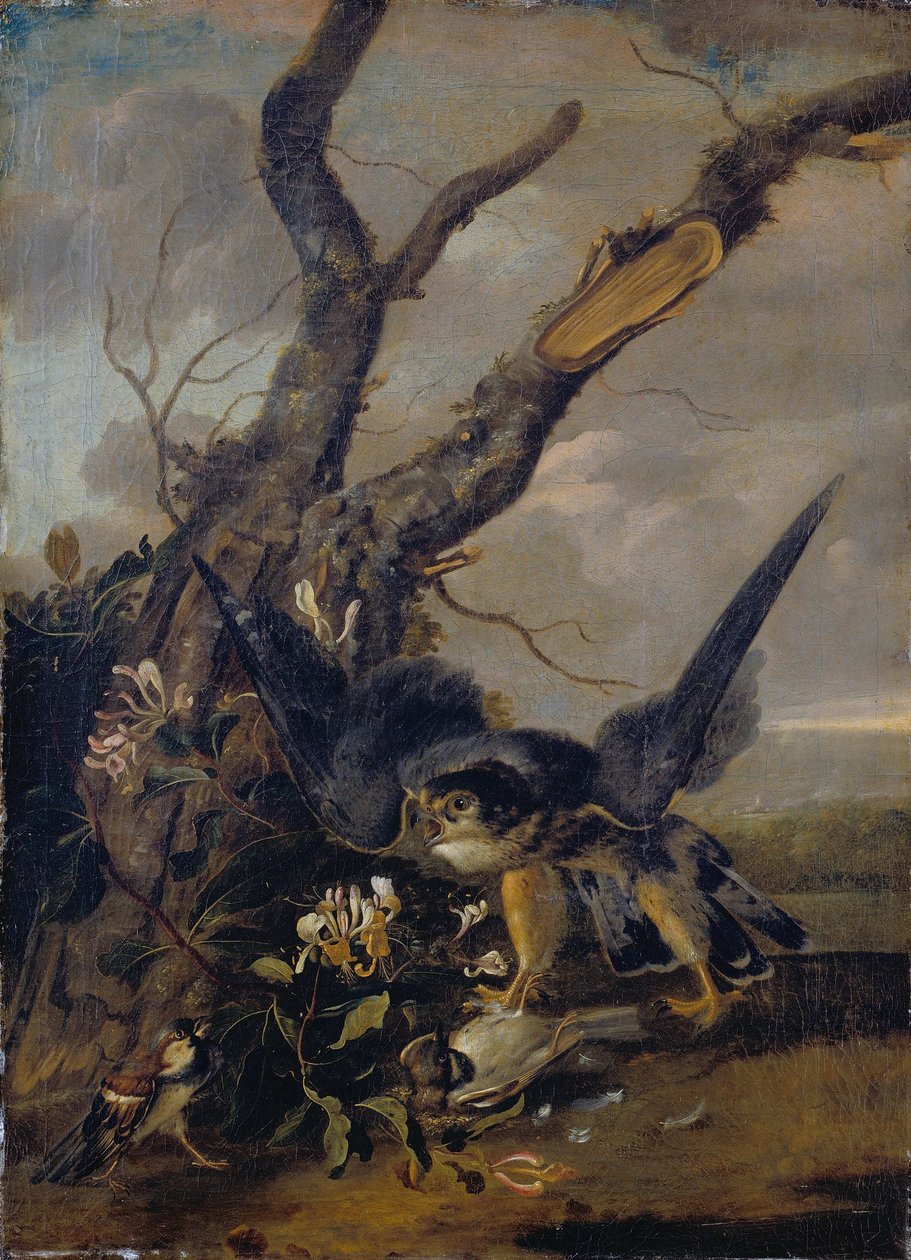 Hawk and Sparrows by Unbekannt Unbekannt