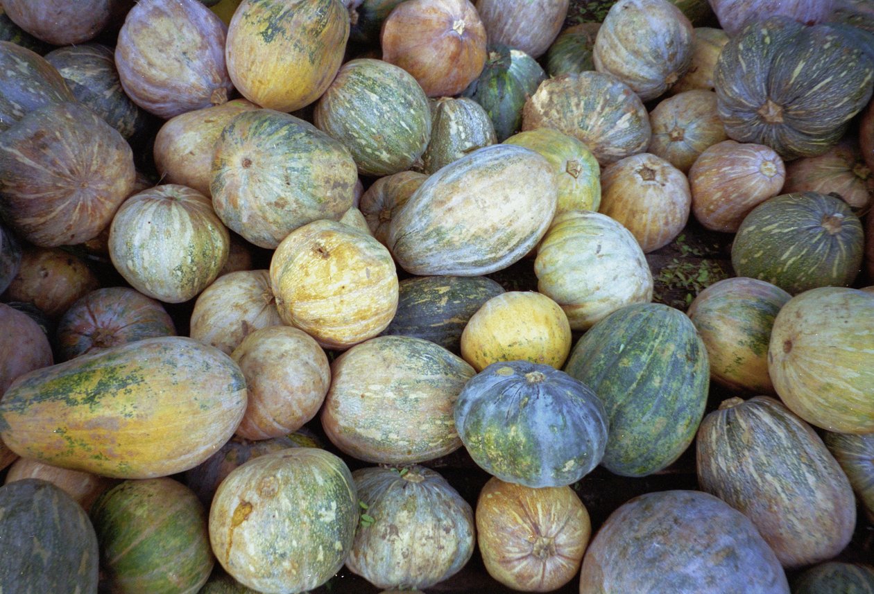 Melons, 1995 by Unbekannt Unbekannt