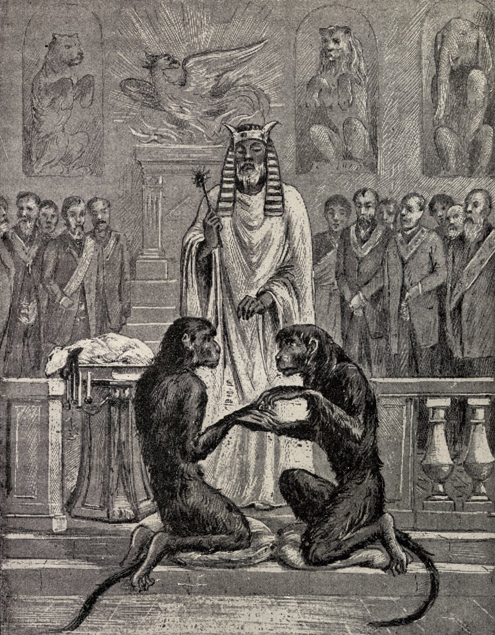 Sacrificing the Lamb during the Marriage of the Apes, from 