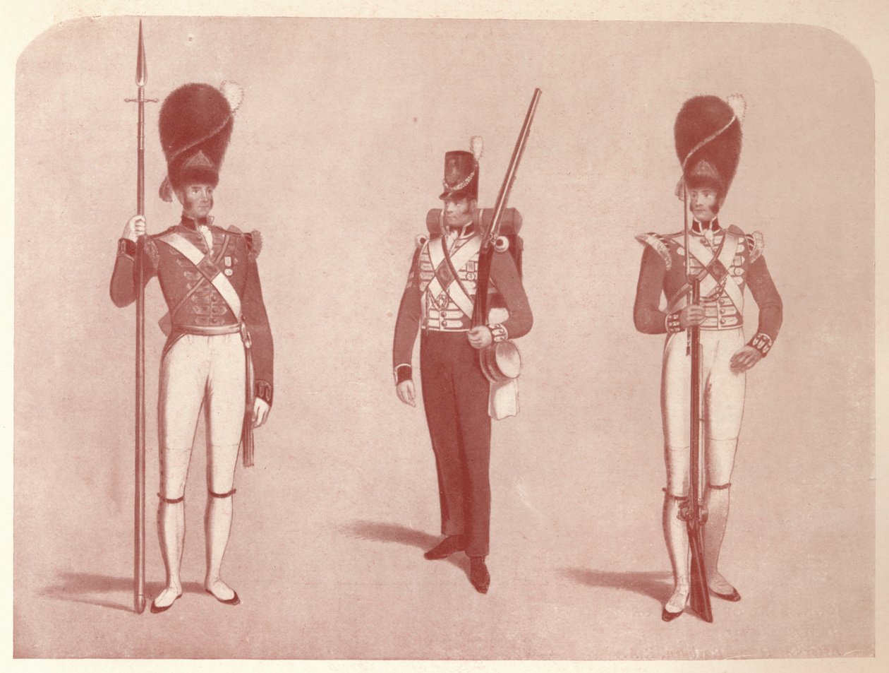 1st or Grenadier Regiment of Guards in 1815 by Unbekannt