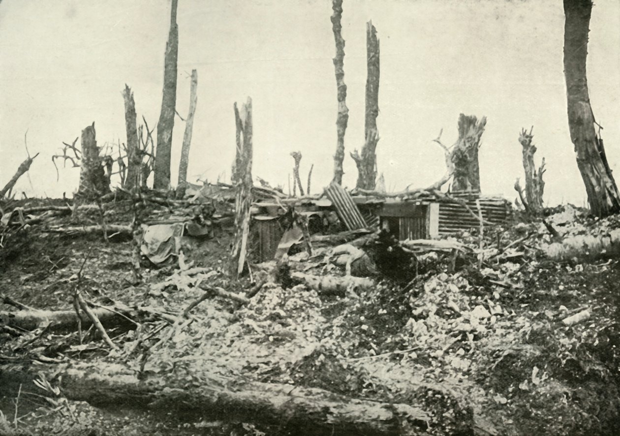 A Dug-Out in What Was Once A Sylvan Wood, 1919 by Unbekannt