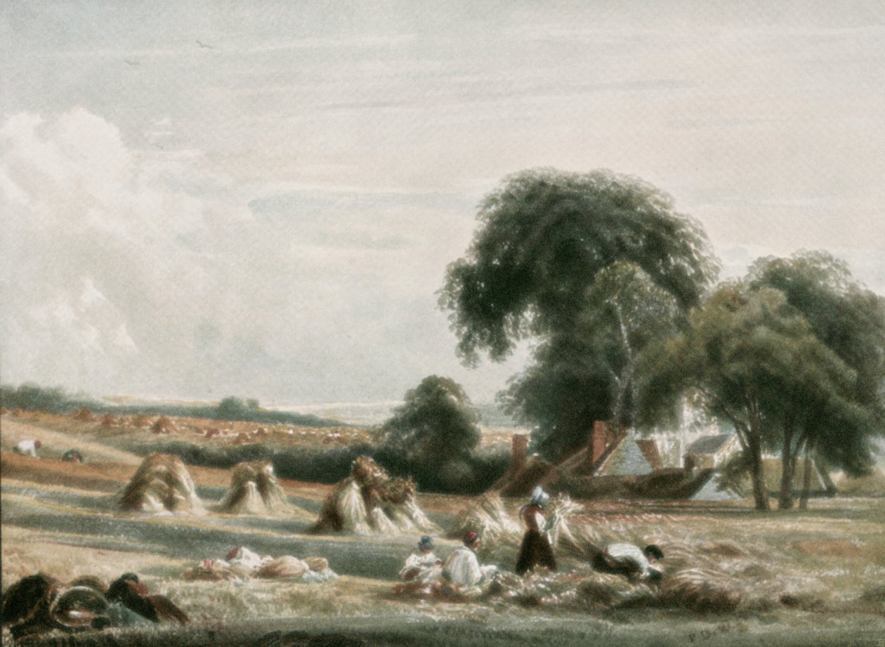 A Harvest Scene by Unbekannt
