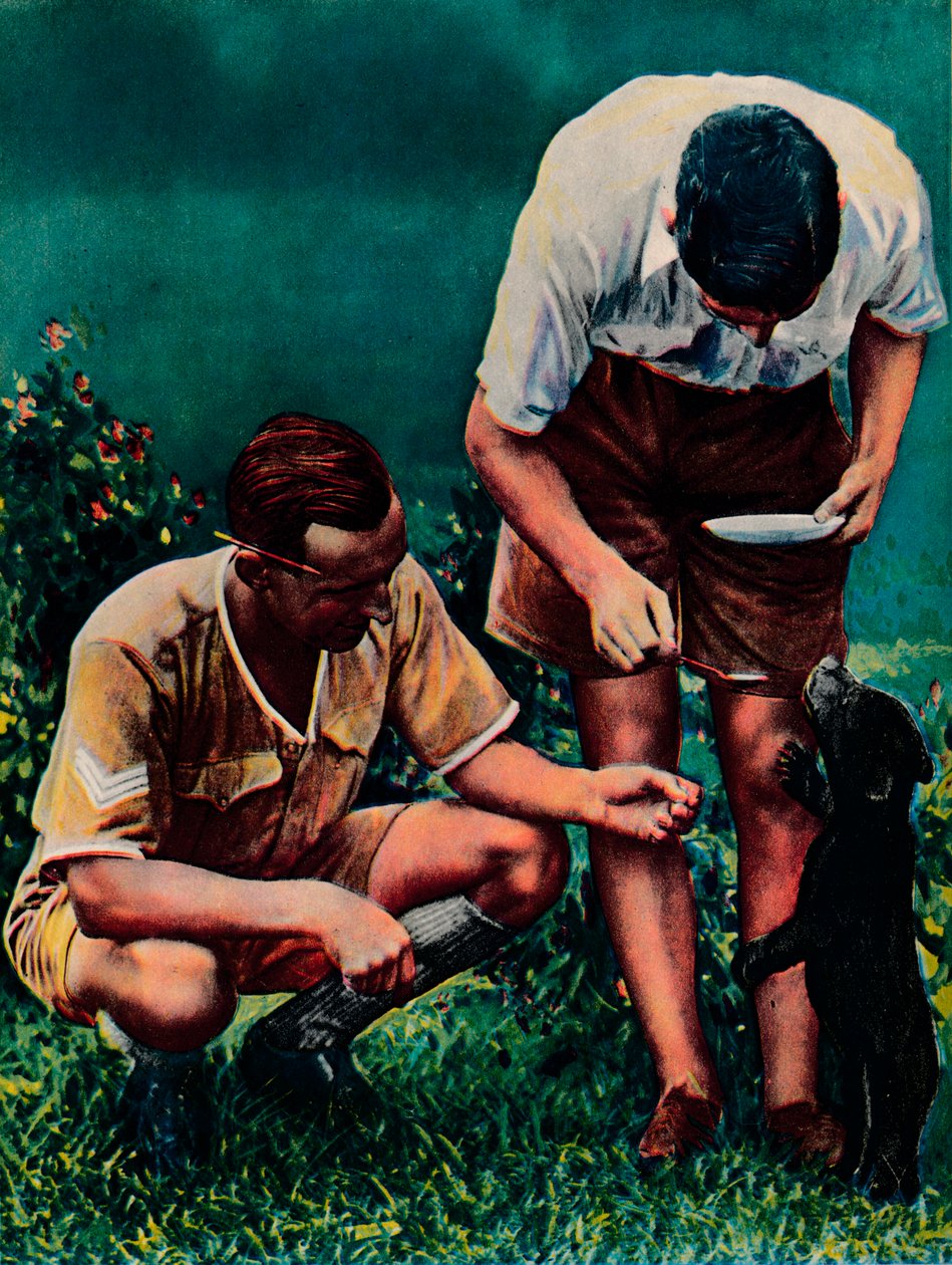 A Singapore Mascot of the RAF, 1940 by Unbekannt