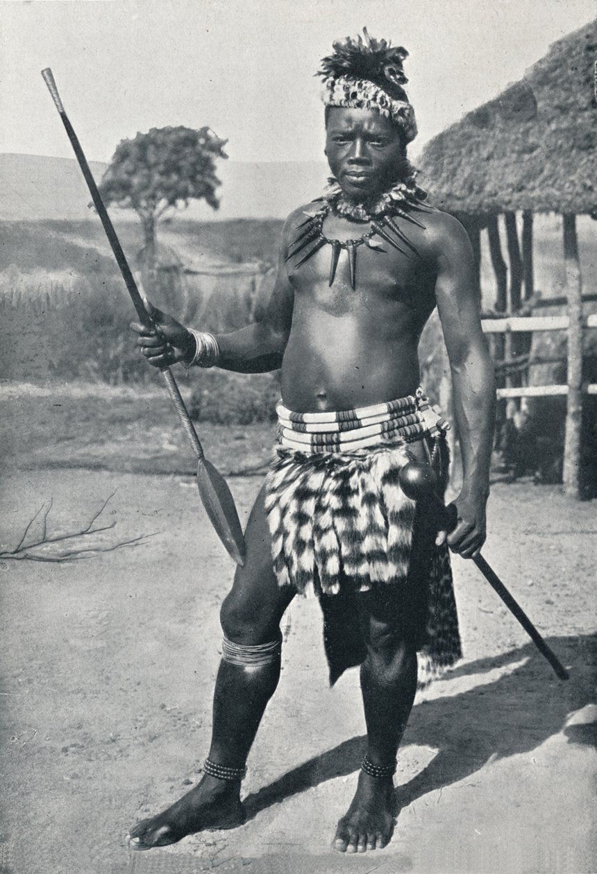 A Zulu Chief, 1902 by Unbekannt