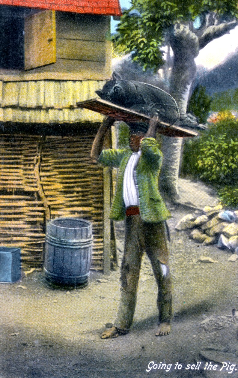 A Man on His Way to Market to Sell a Pig, Jamaica by Unbekannt