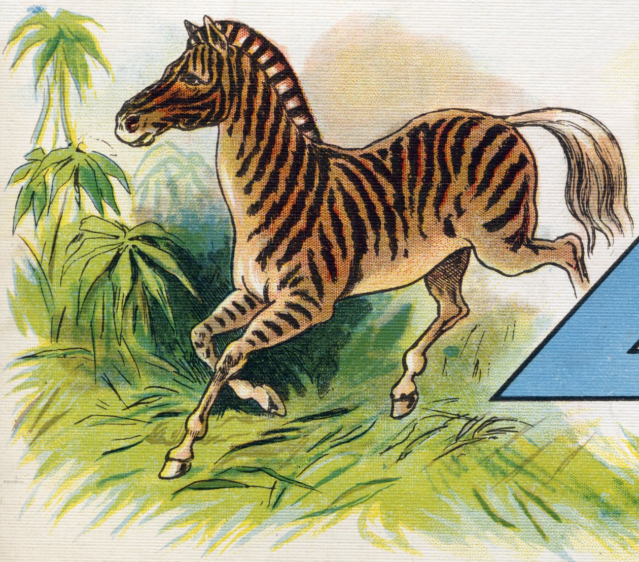 A zebra. Engraving in "ABC L