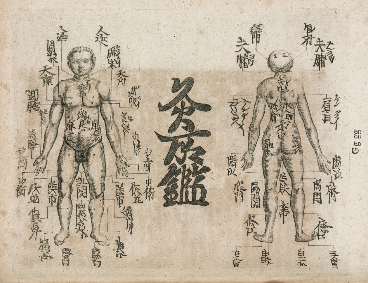 Acupuncture Diagram Showing Where Singeing Should Be Avoided by Unbekannt
