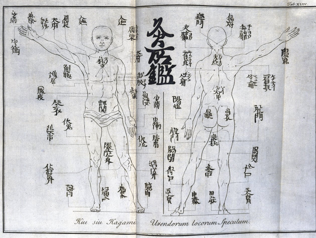 Acupuncture: Chart of the Human Body Indicating Moxibustion Points, Japan (c.1690) by Unbekannt