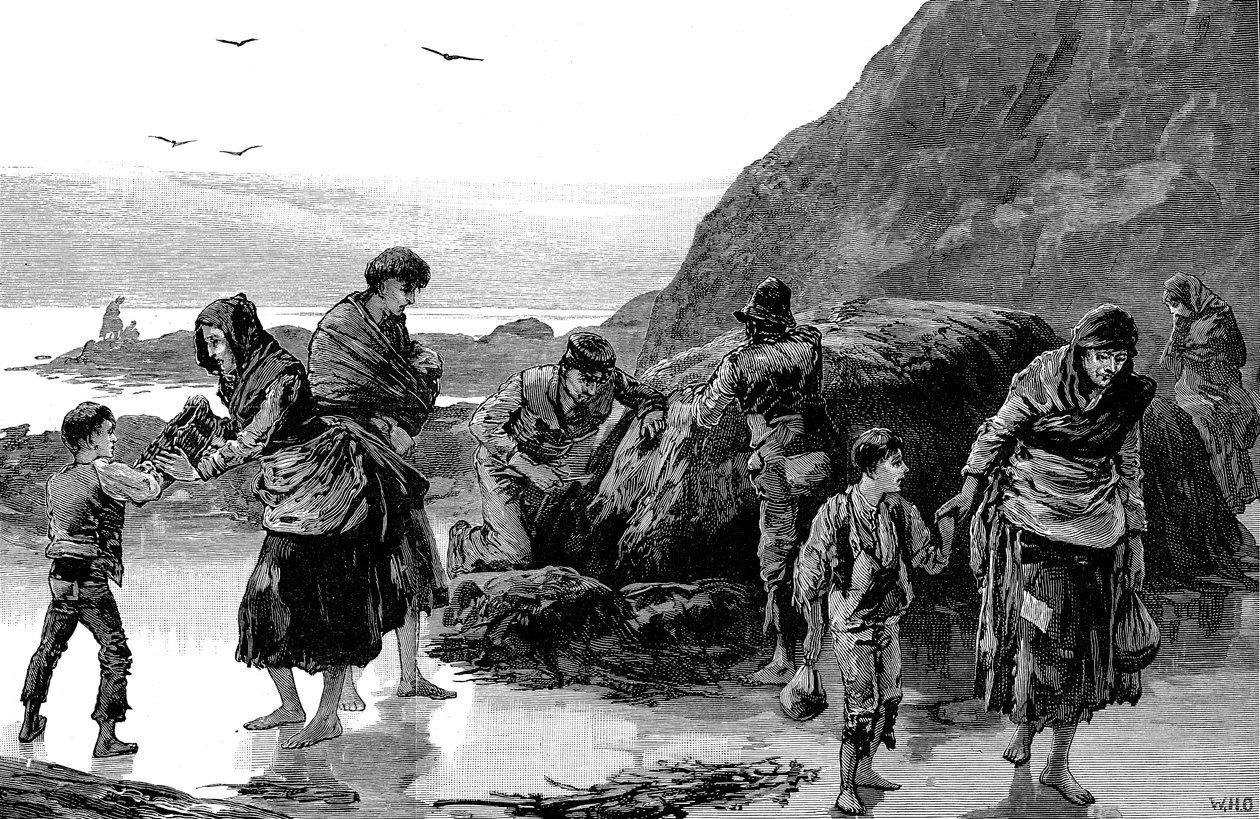 Aftermath of Famine, Ireland 1840s by Unbekannt