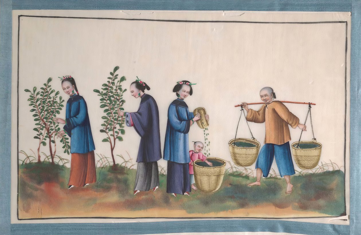 Album Containing Twelve Paintings of People Making Silk, 19th century by Unbekannt