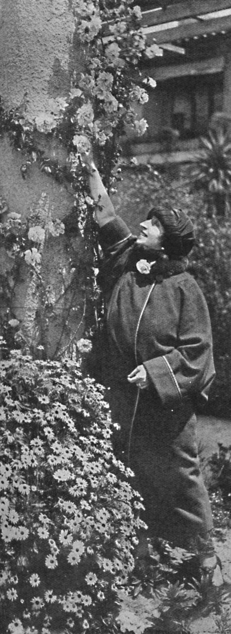 Amelita Galli-Curci: The Great Diva Gathering Roses, Her Favourite Flowers, c1925 by Unbekannt
