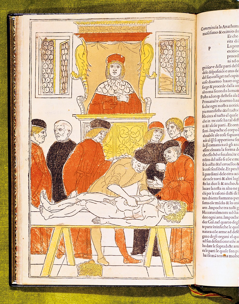 Anatomy Lecture at Padua, Italy by Unbekannt