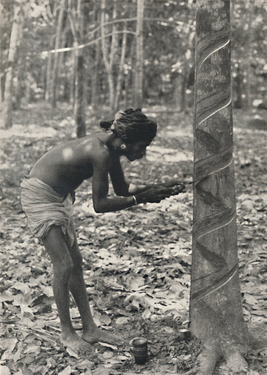 Worker cutting a rubber tree, spiral cut is uneconomical and no longer used by Unbekannt