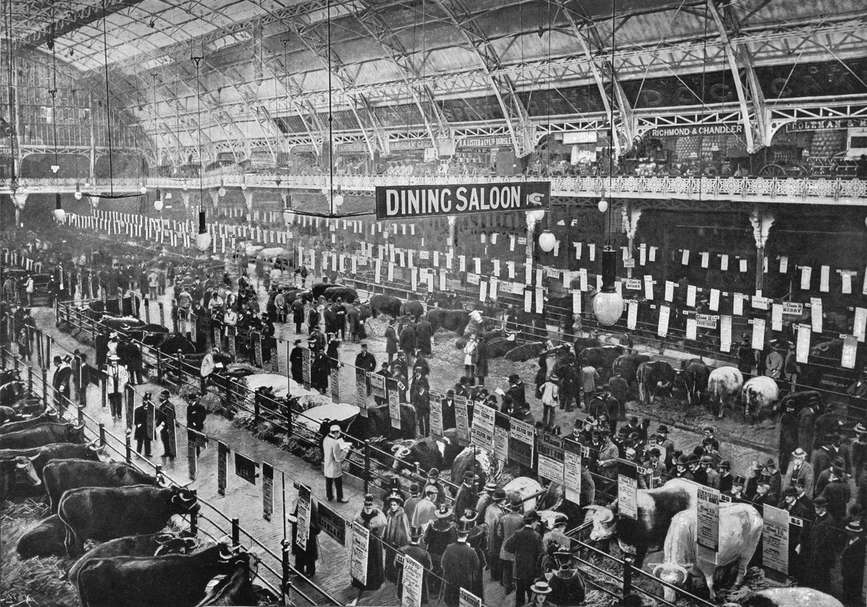 At the Smithfield Club Cattle Show, Agricultural Hall, Islington, London by Unbekannt