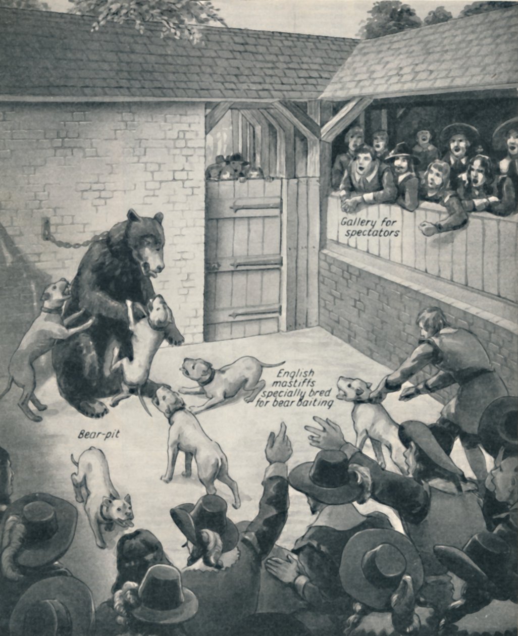 Bear-Baiting in a Stuart Bear Pit by Unbekannt