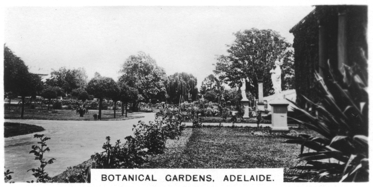 Botanical Gardens, Adelaide, Australia by Unbekannt